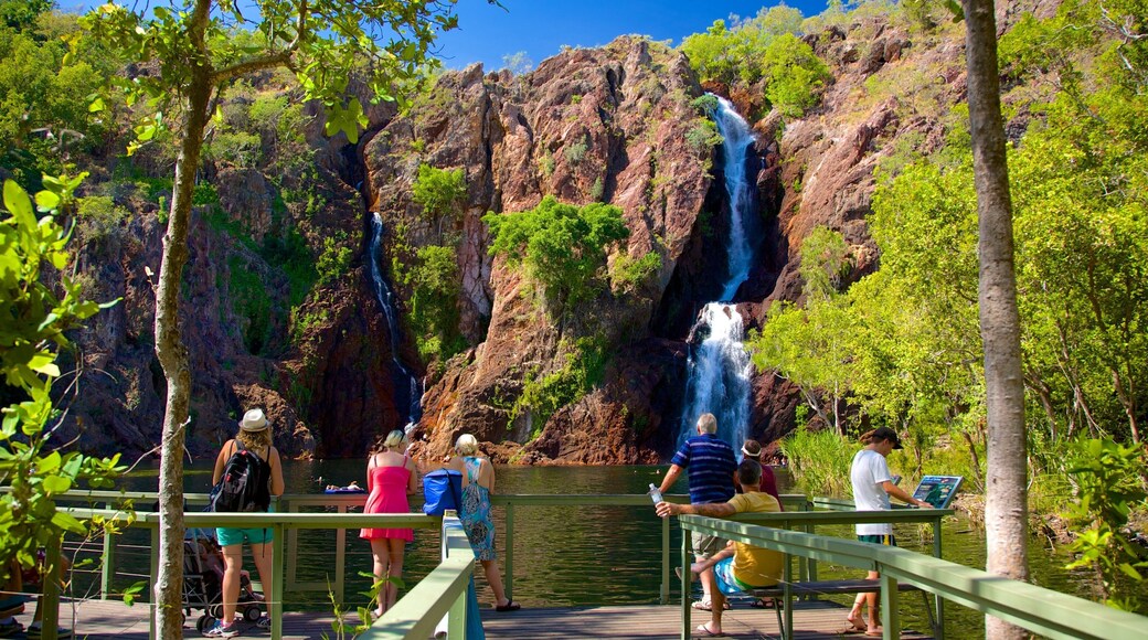 Litchfield National Park which includes landscape views and a waterfall as well as a large group of people