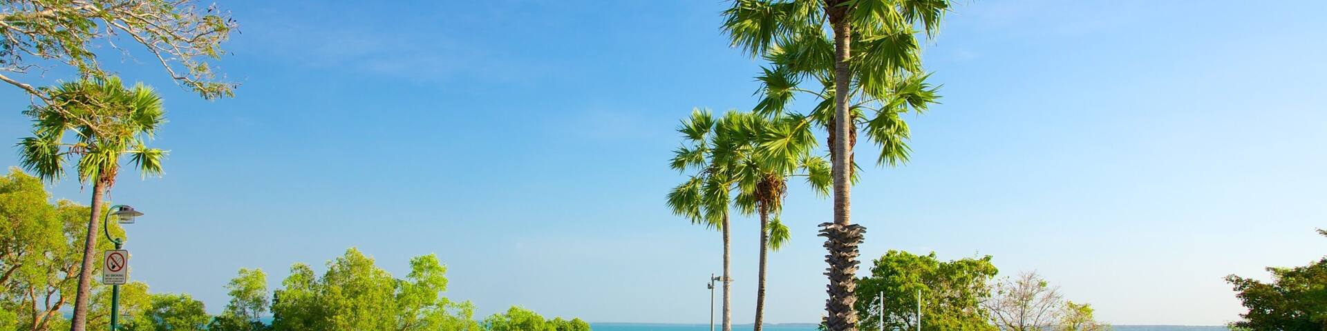 Bicentennial Park which includes tropical scenes and a garden