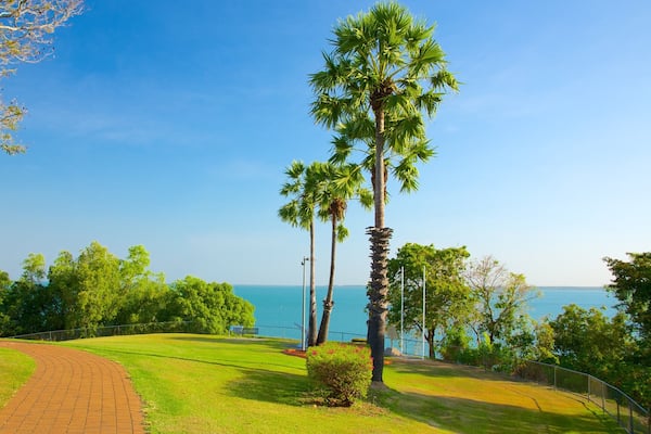 Bicentennial Park showing a park and tropical scenes