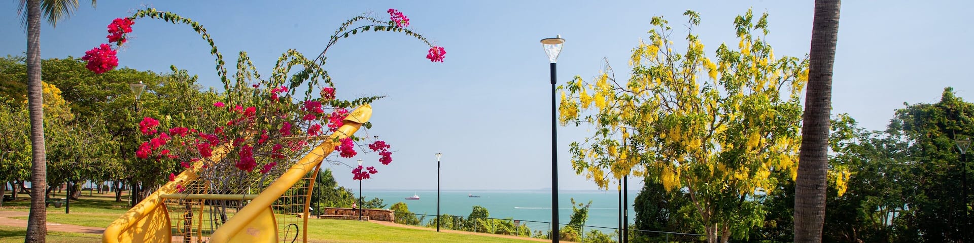 Bicentennial Park showing a park and wildflowers