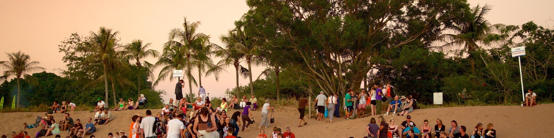 A crowded beach with palm trees and people sitting and standing on the sand.