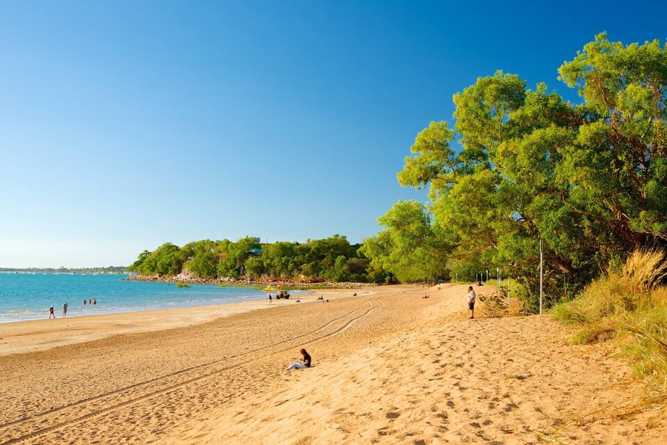 A sandy beach with people, a clear blue sky, and green trees.