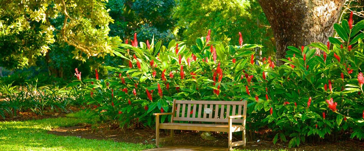 George Brown Darwin Botanic Gardens showing a park