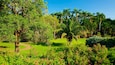 George Brown Darwin Botanic Gardens showing a park