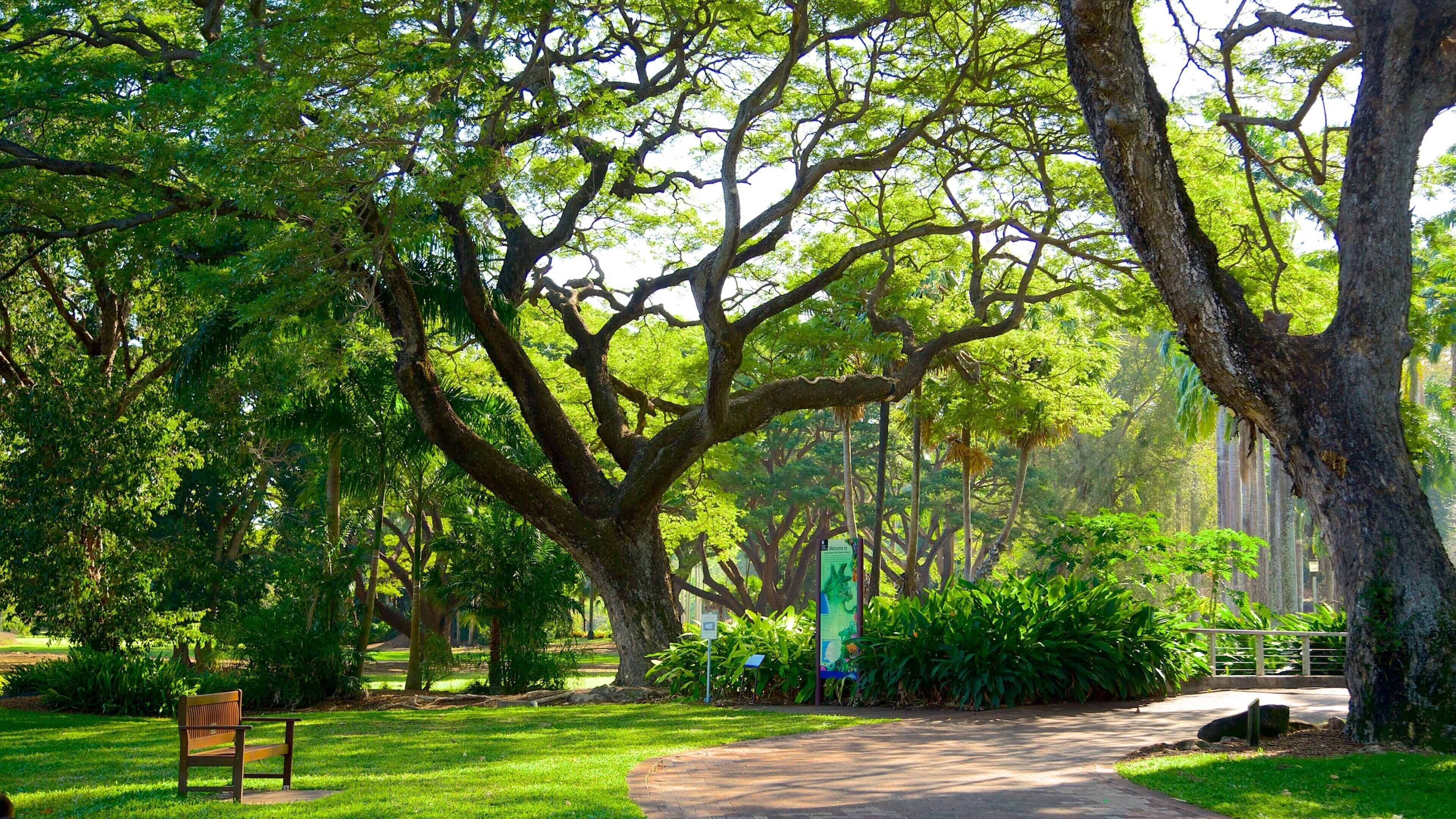 George Brown Darwin Botanic Gardens showing a park