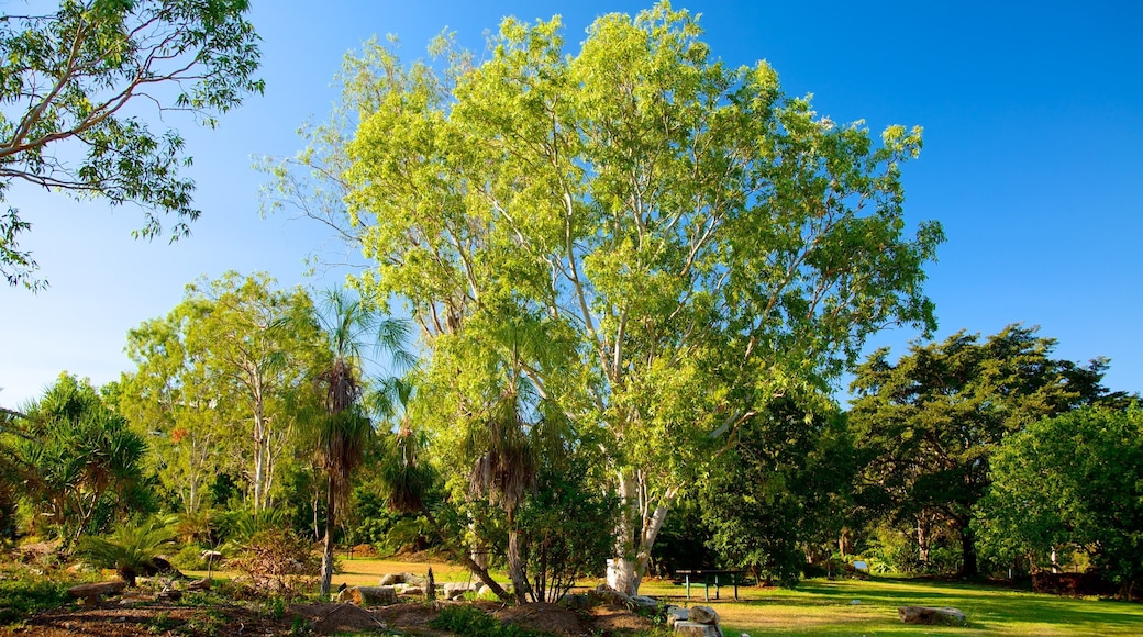 George Brown Darwin Botanic Gardens showing a garden