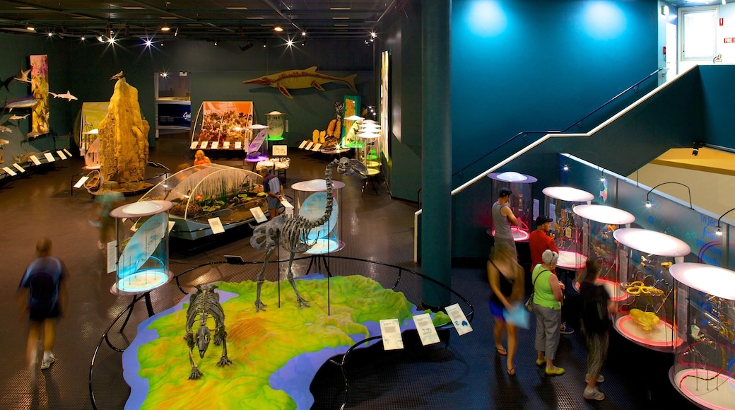 Museum and Art Gallery of the Northern Territory mostrando vistas interiores