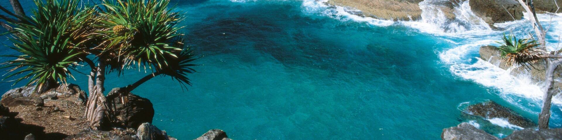 Noosa National Park showing rocky coastline, tropical scenes and landscape views