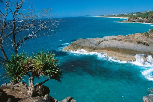 Noosa National Park showing rocky coastline, tropical scenes and landscape views
