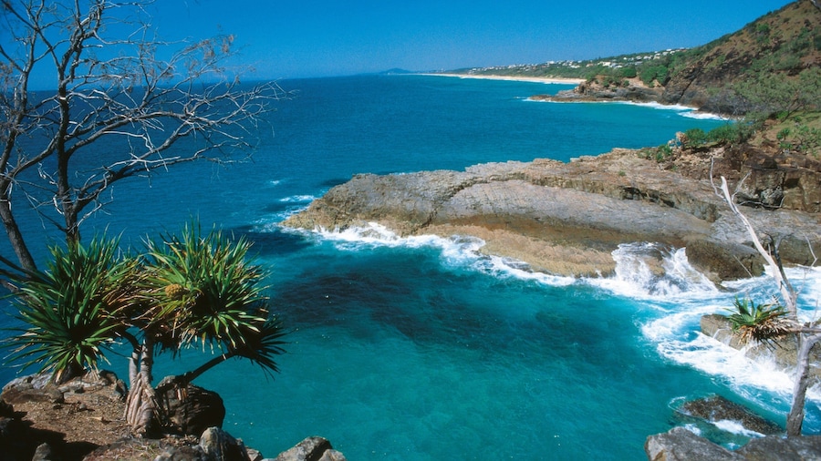 Parc national de Noosa montrant panoramas, côte escarpée et scènes tropicales
