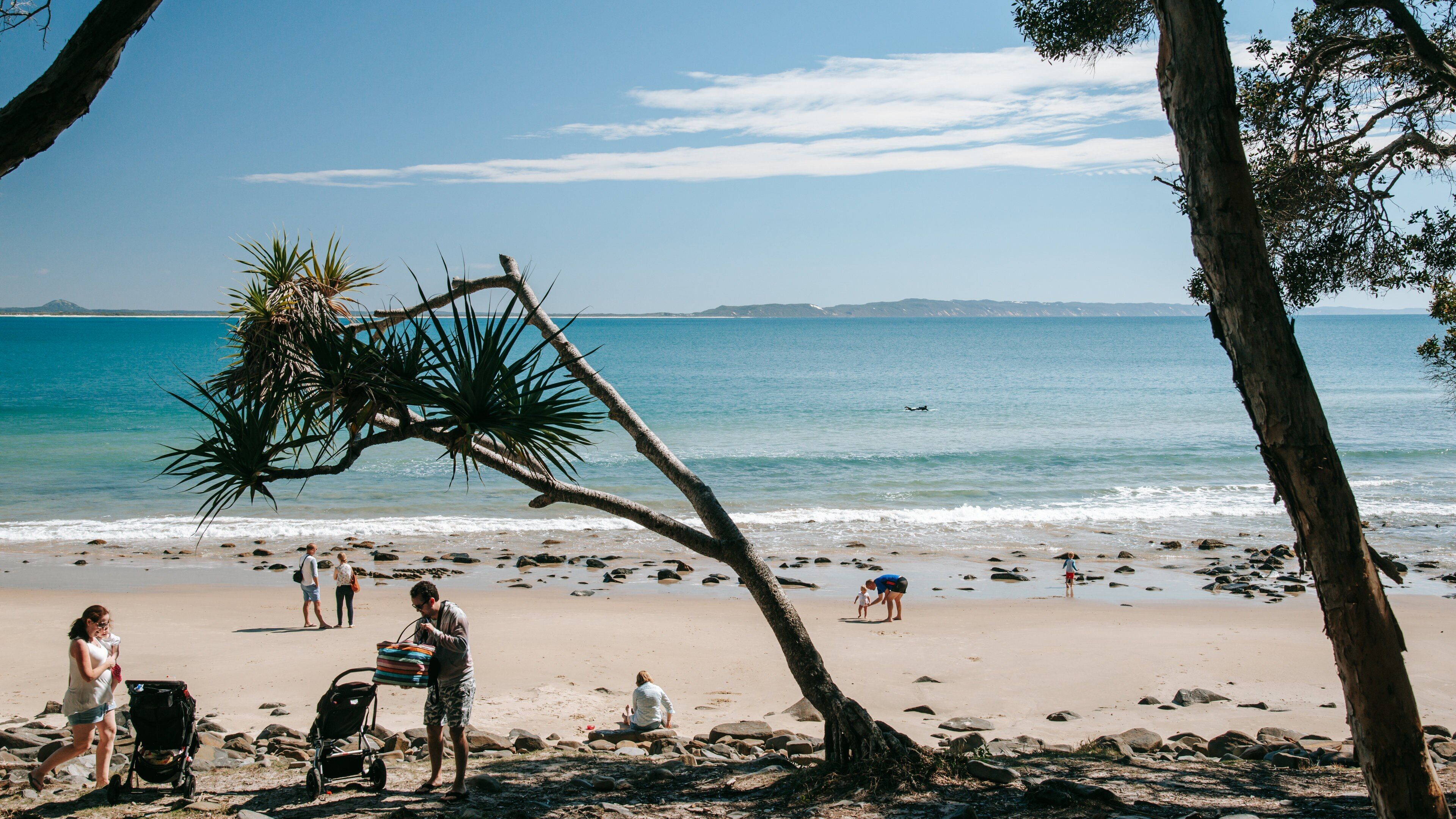 Noosa National Park showing general coastal views and a sandy beach as well as a family