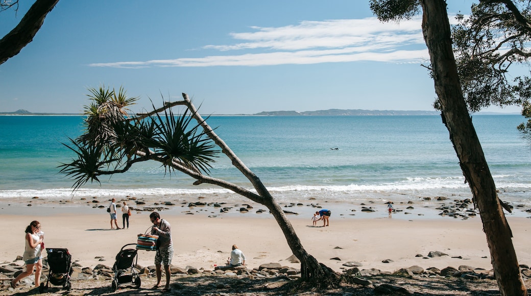 Noosa National Park showing general coastal views and a sandy beach as well as a family