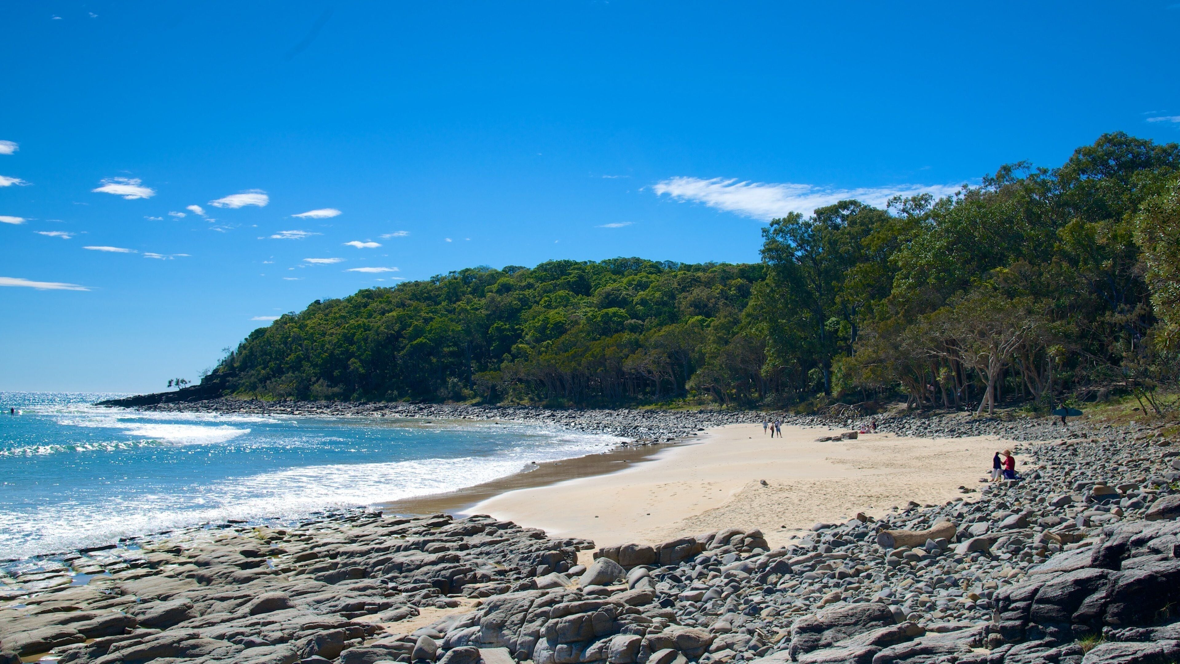 Noosa National Park showing a beach and rugged coastline