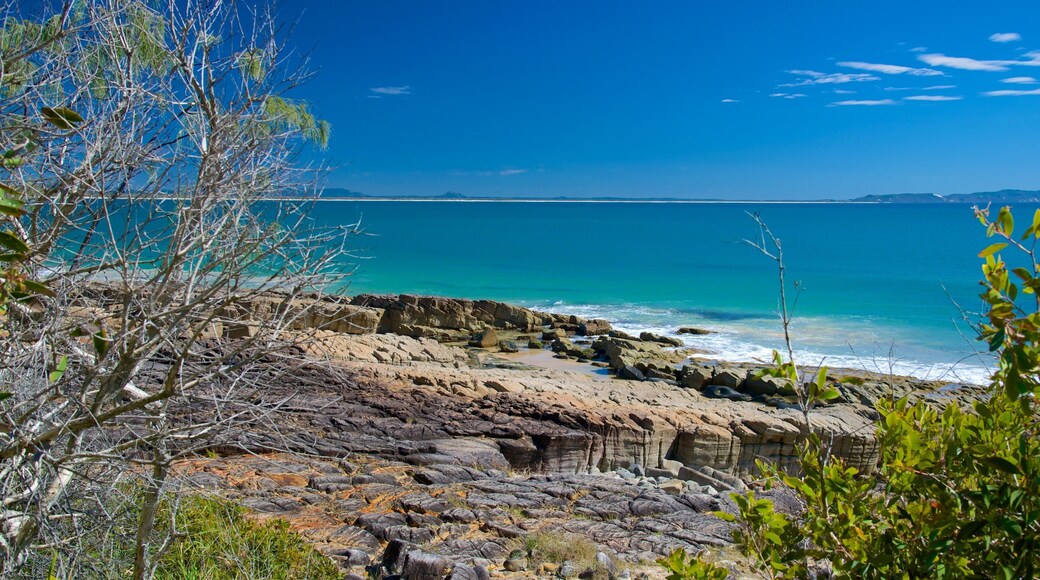 누사 국립공원 을 보여주는 암석 해안선