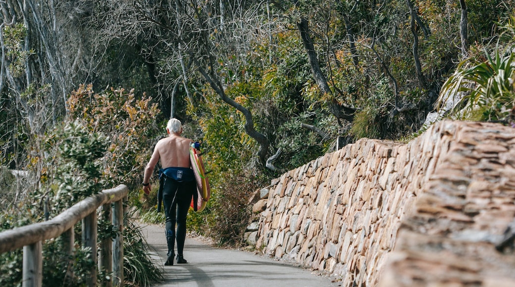 Noosa National Park featuring a garden as well as an individual male