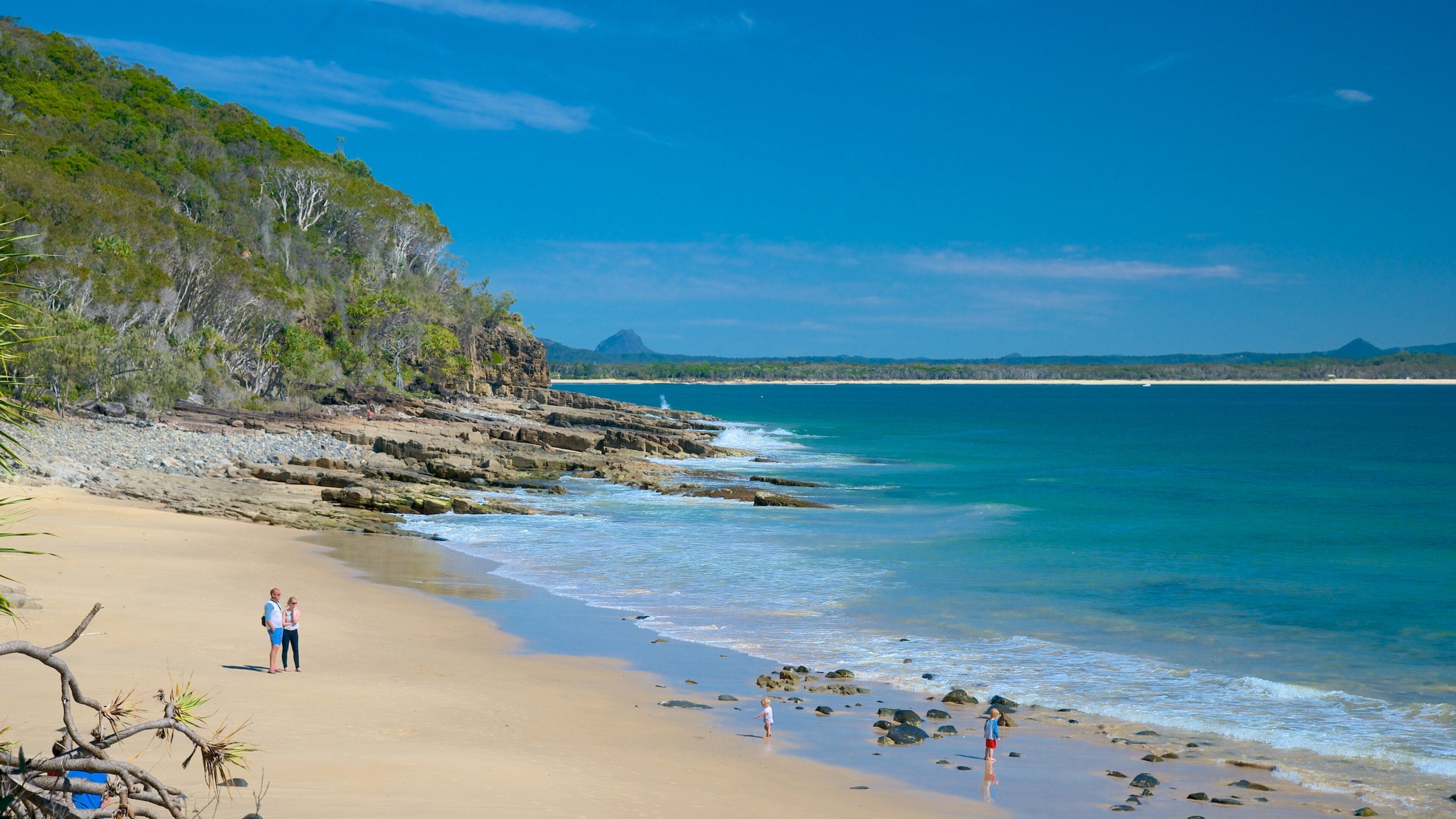 Noosa National Park which includes landscape views and a beach