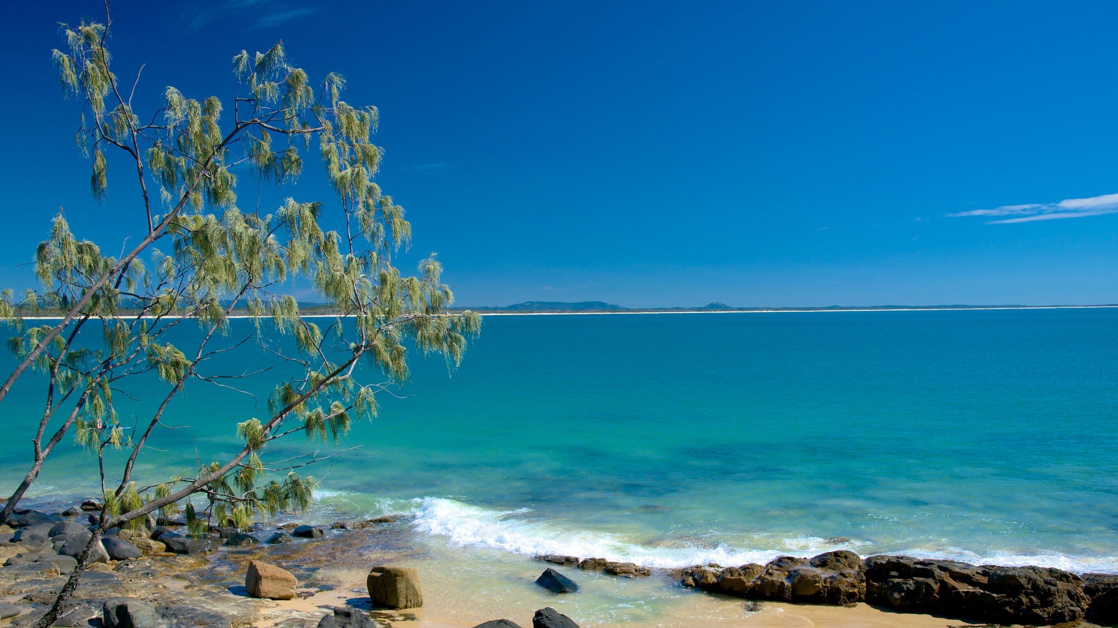 Noosa National Park featuring rocky coastline