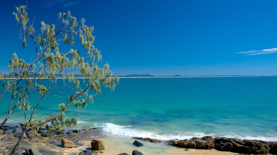 Noosa National Park featuring rocky coastline
