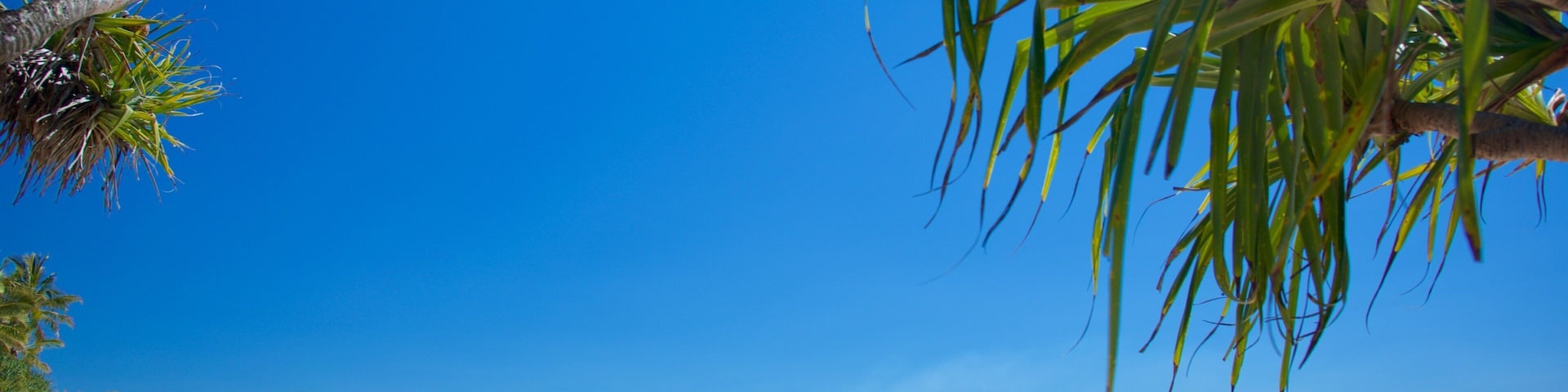 Noosa Beach showing a sandy beach and general coastal views