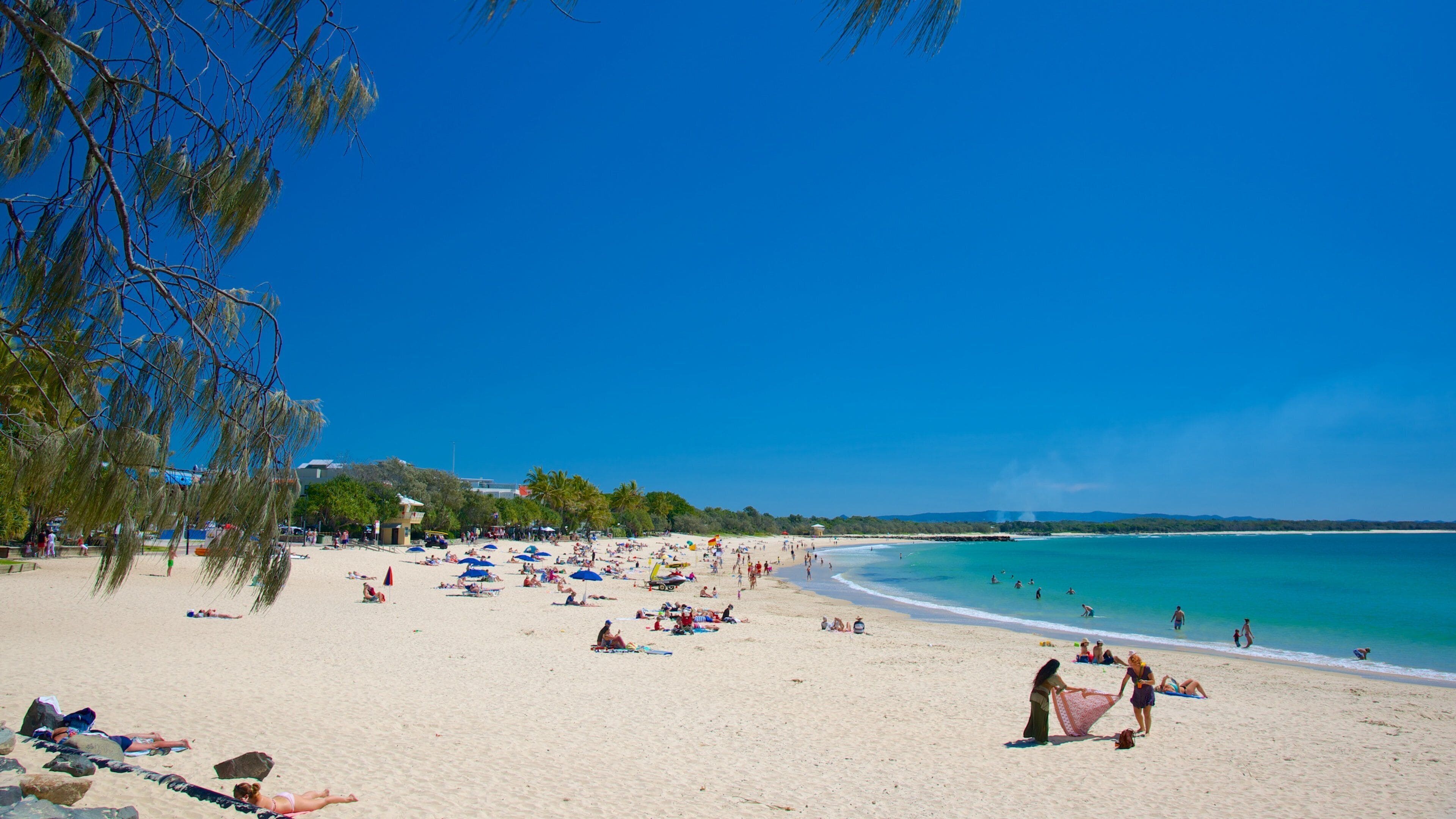 Noosa Beach showing a beach and a bay or harbour as well as a large group of people