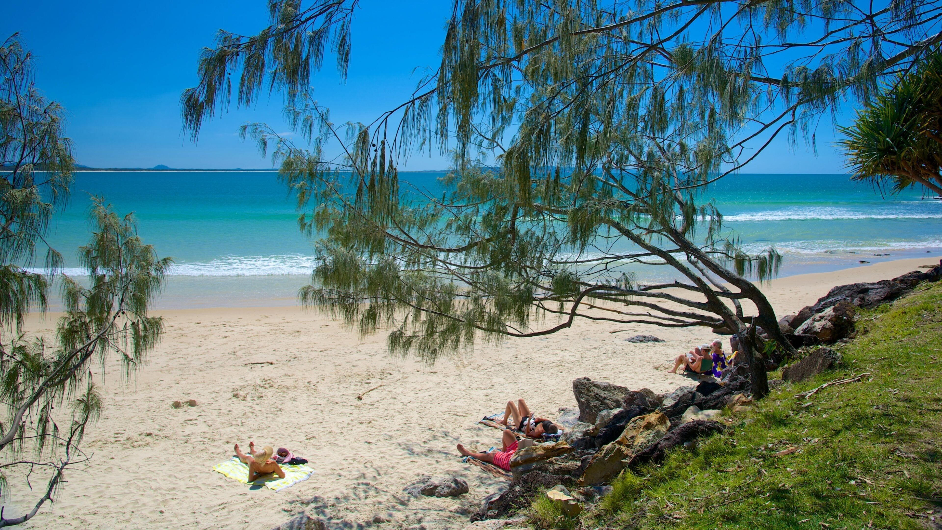 A beach with clear turquoise water, sandy shore, and trees.