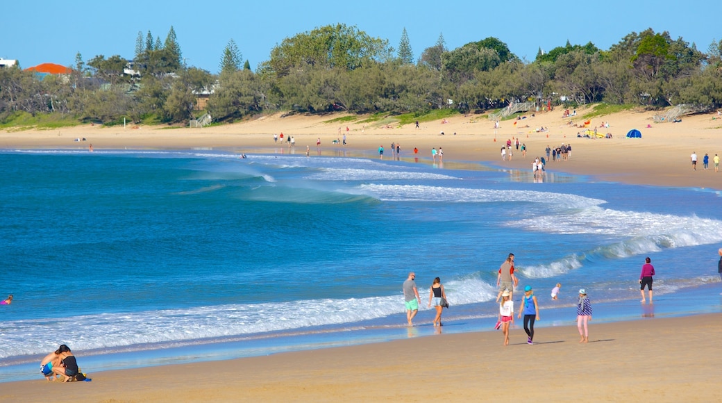 Playa de Mooloolaba mostrando una bahía o puerto y una playa de arena y también un gran grupo de personas