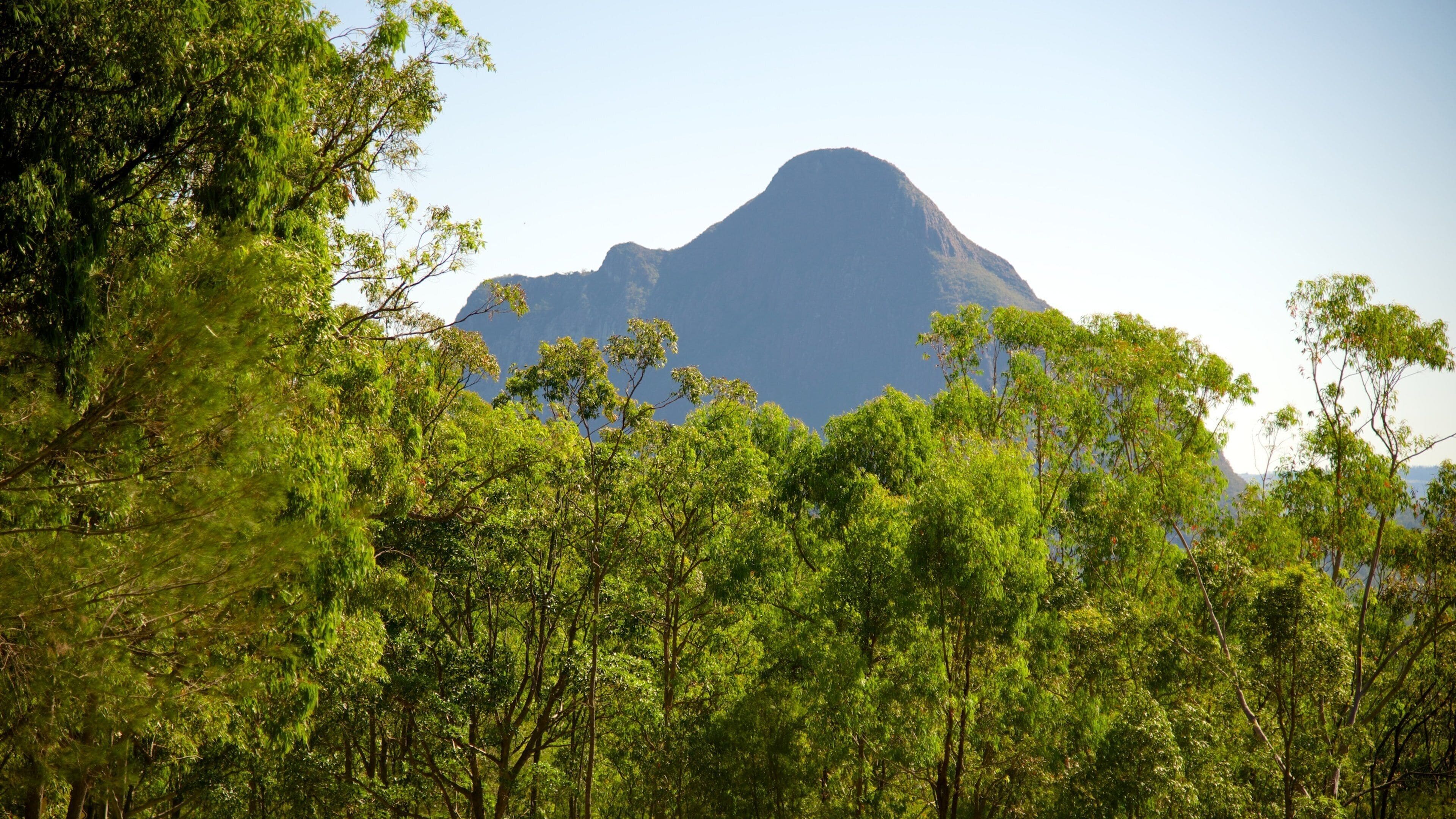 Parque Nacional Montañas Glasshouse mostrando bosques y montañas