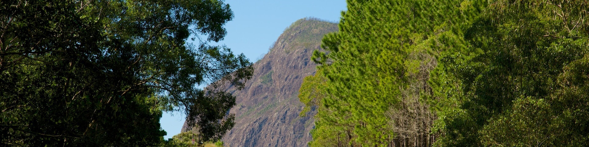 Glasshouse Mountains National Park showing tranquil scenes and vehicle touring