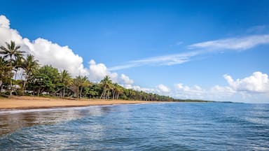Mission Beach Coastline Queensland Australi
