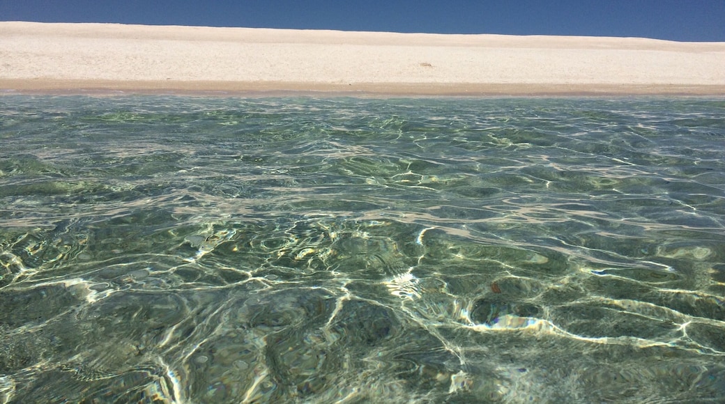 Shell beach is made entirely from shells. 110 km of white shells and crystal water