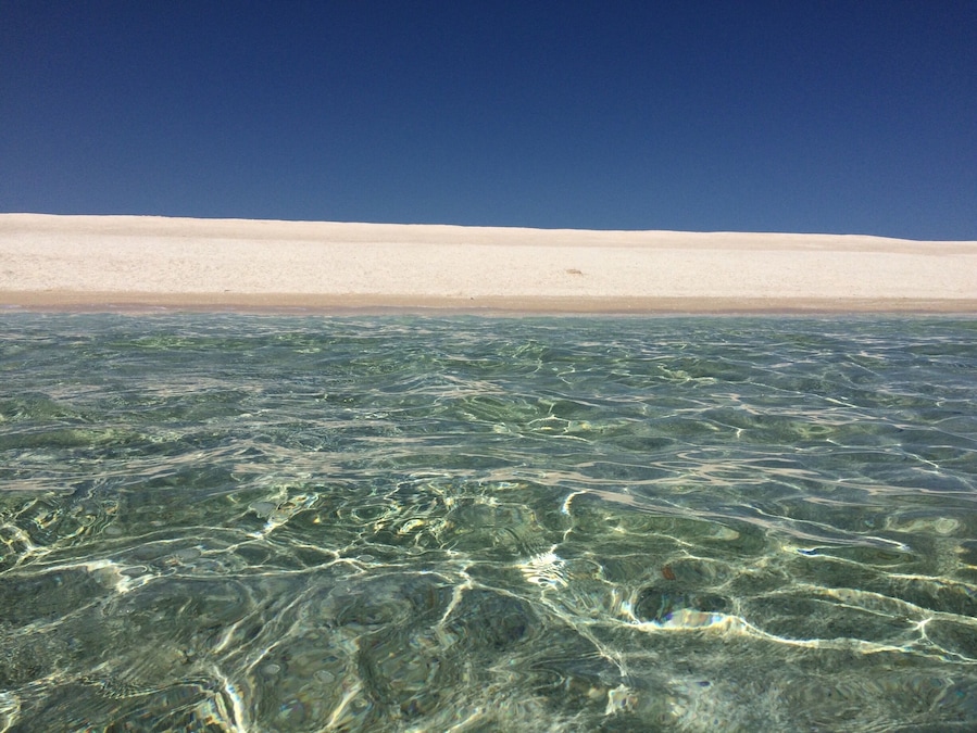 Shell beach is made entirely from shells. 110 km of white shells and crystal water