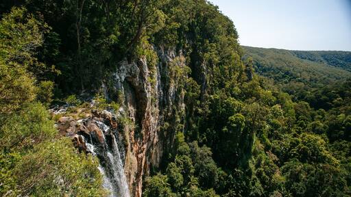 Springbrook National Park showing forest scenes, a cascade and landscape views