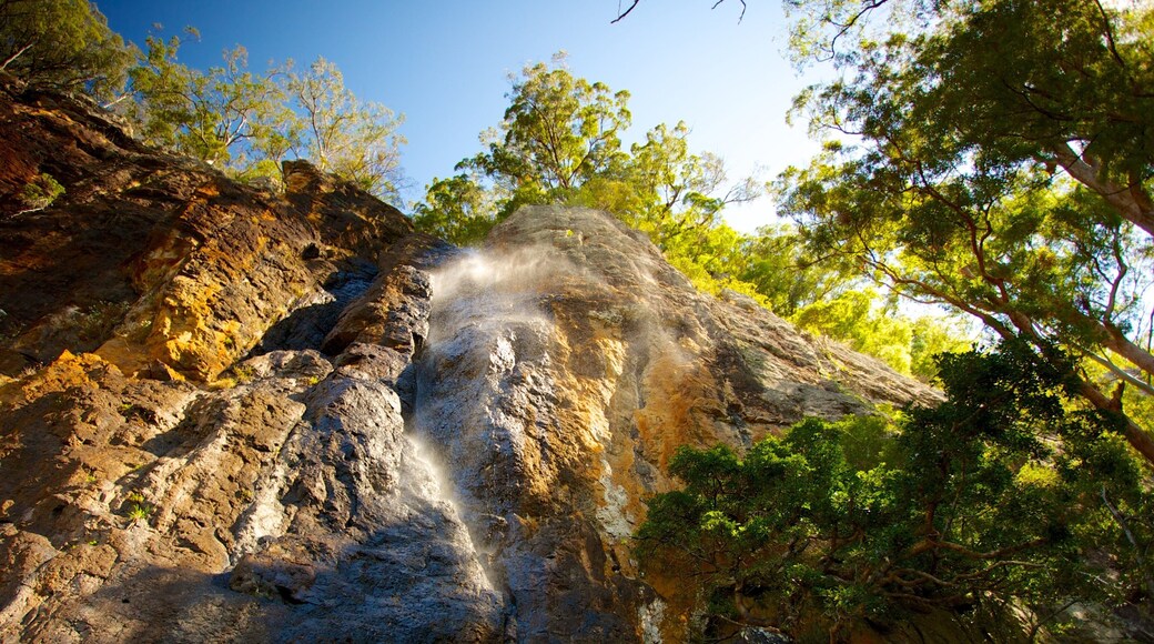 Springbrook National Park caratteristiche di vista del paesaggio