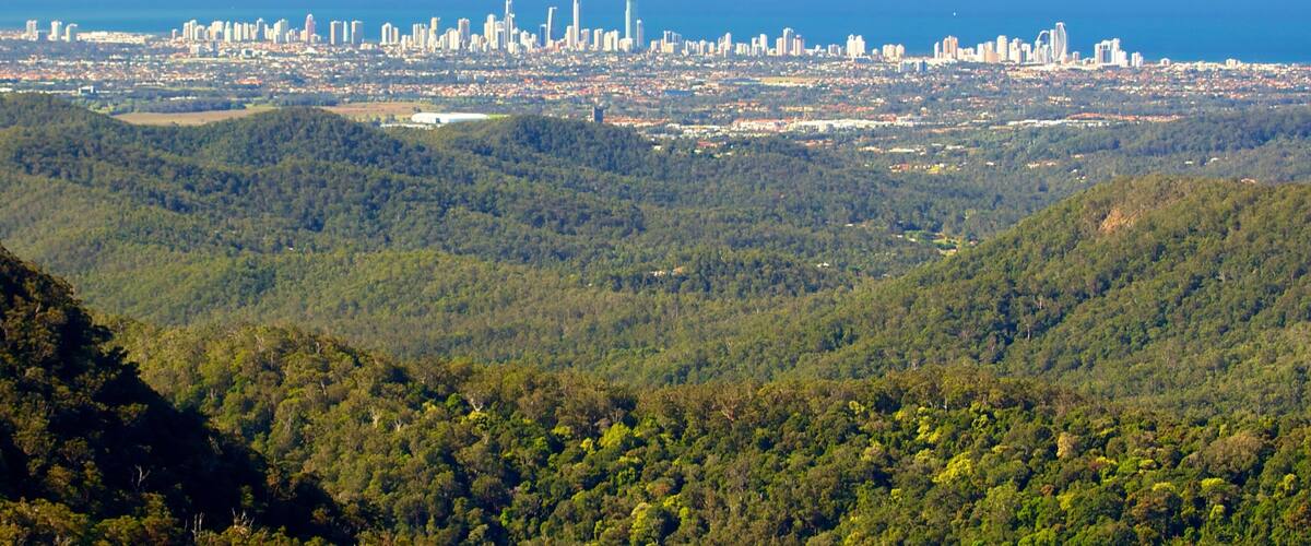 A coastal cityscape with dense urban buildings and a forested hill in the foreground.