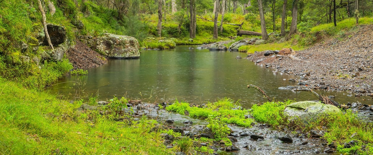 Main Range National Park featuring a river or creek and forests