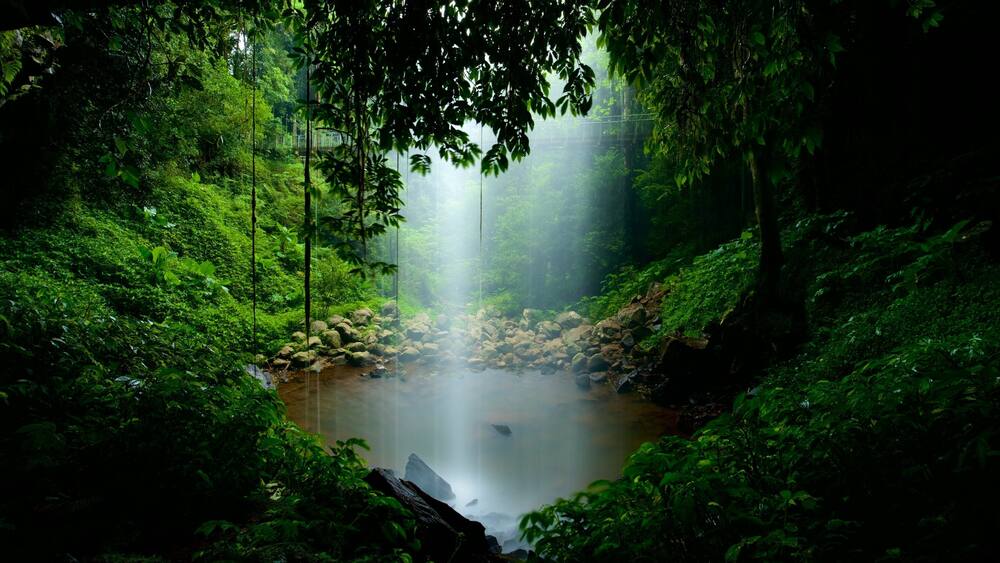 A misty forest with a waterfall and a rocky stream.