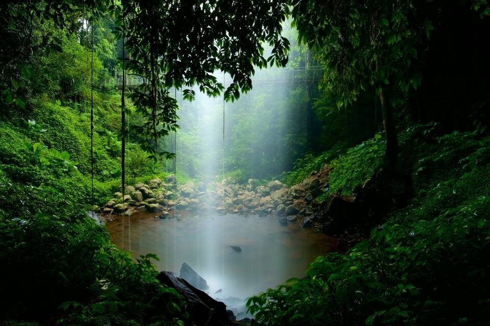 A misty forest with a waterfall and a rocky stream.