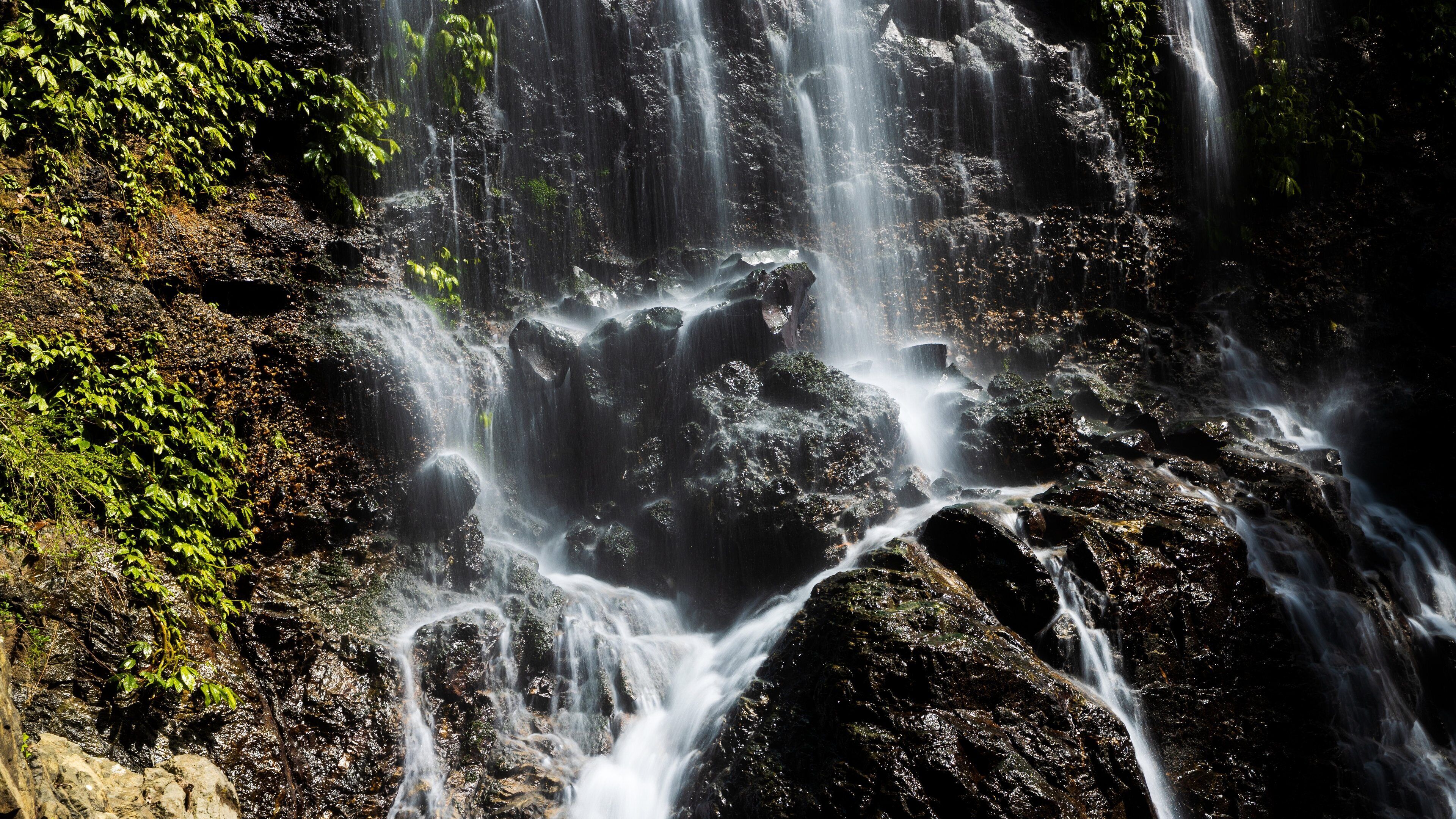 Dorrigo National Park showing a waterfall