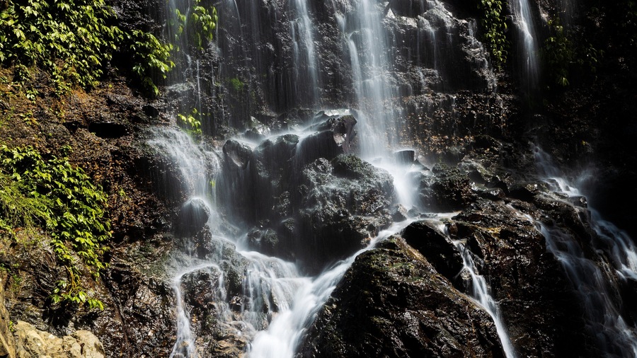 Dorrigo National Park showing a waterfall