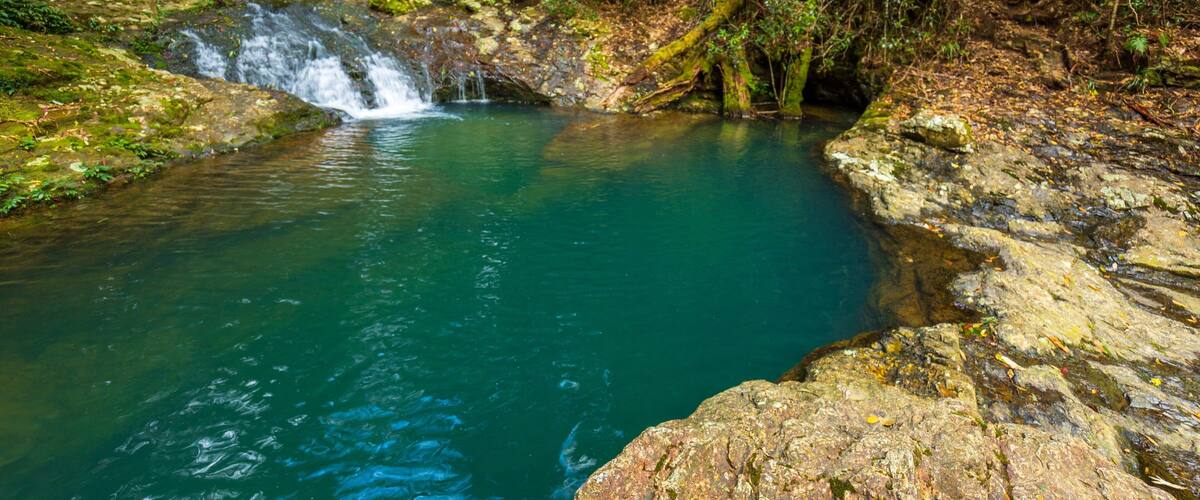 A turquoise pool surrounded by forested area with a small waterfall.
