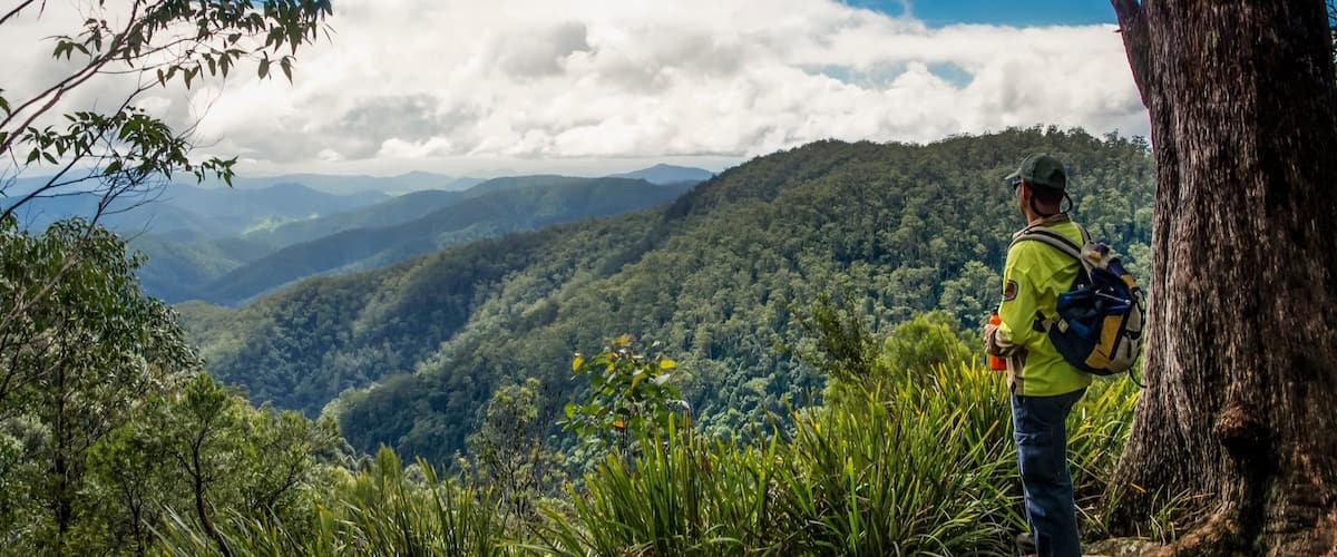 Barrington Tops National Park toont bergen, bos en vredige uitzichten