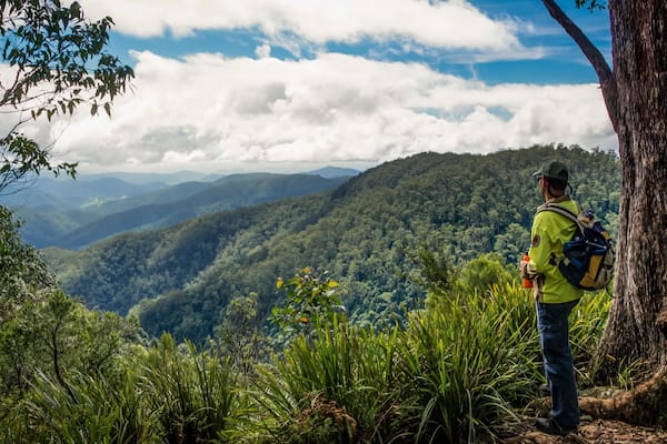 Barrington Tops National Park which includes mountains, tranquil scenes and hiking or walking