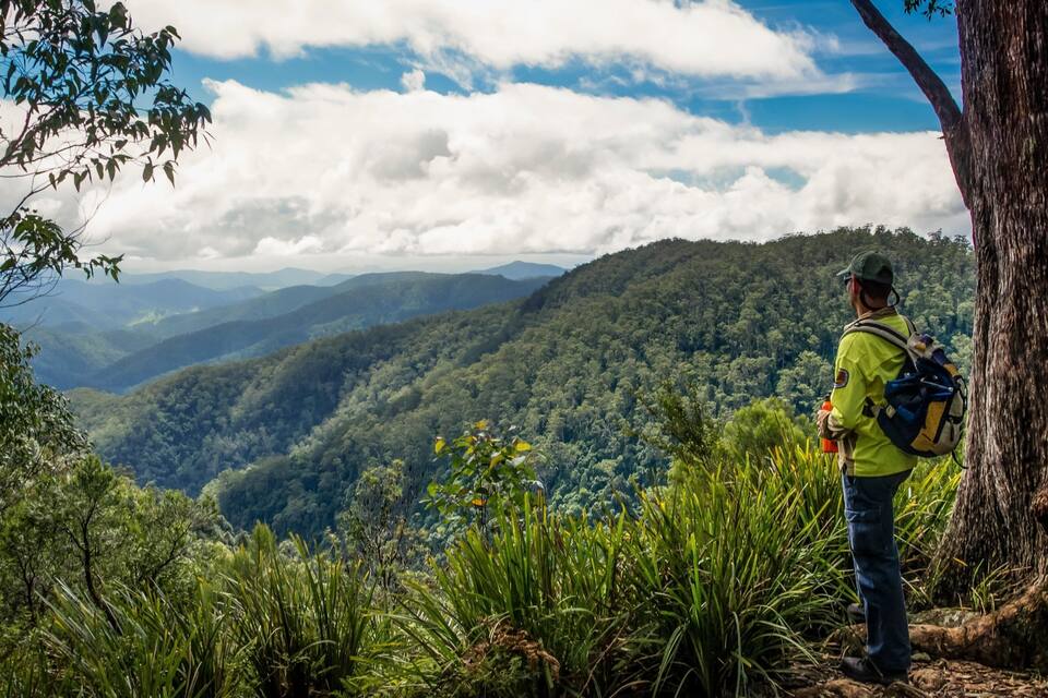 A hiker in a forested area with a view of distant mountains and a cloudy sky.