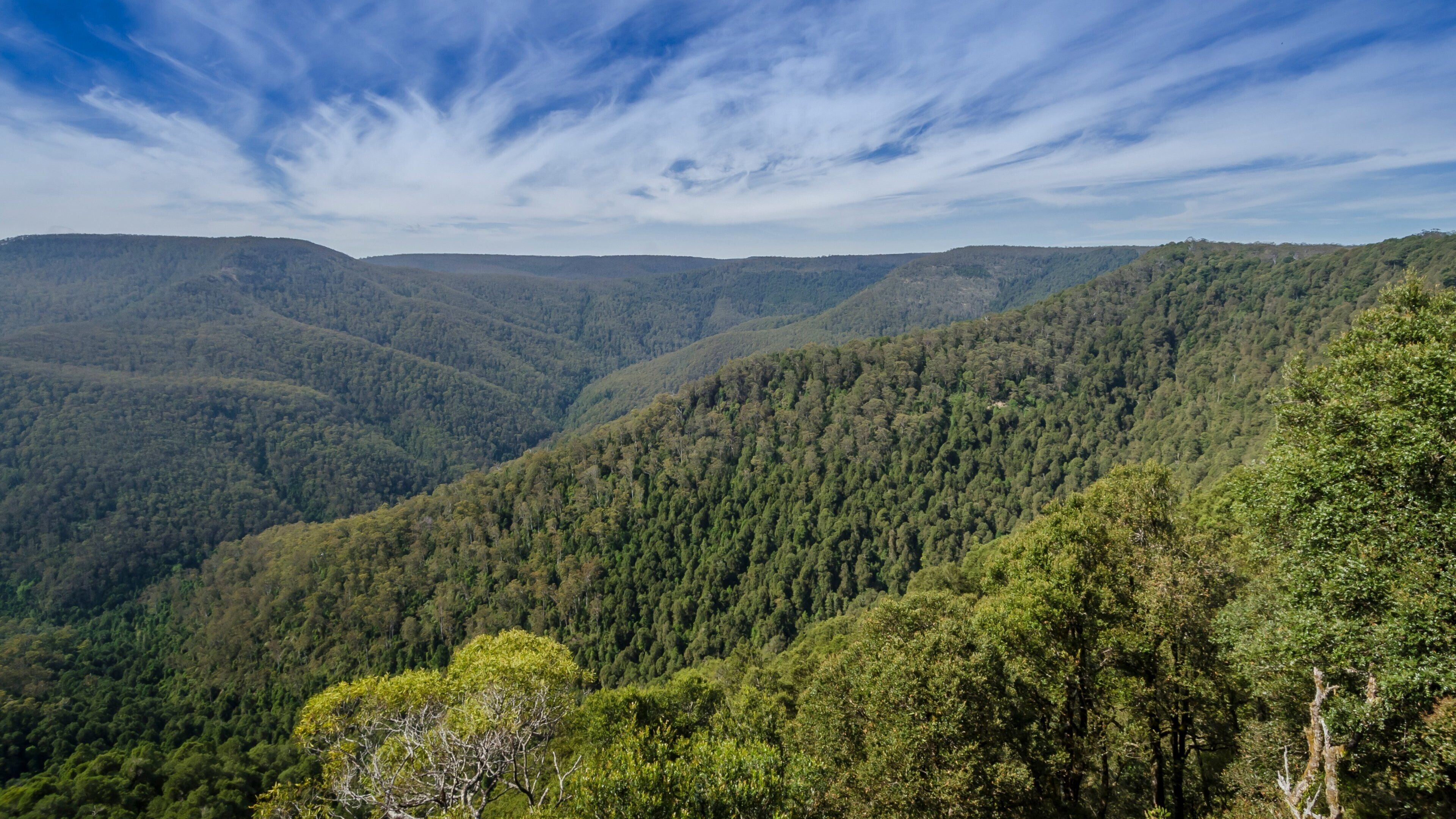 Barrington Tops National Park which includes mountains, landscape views and forests