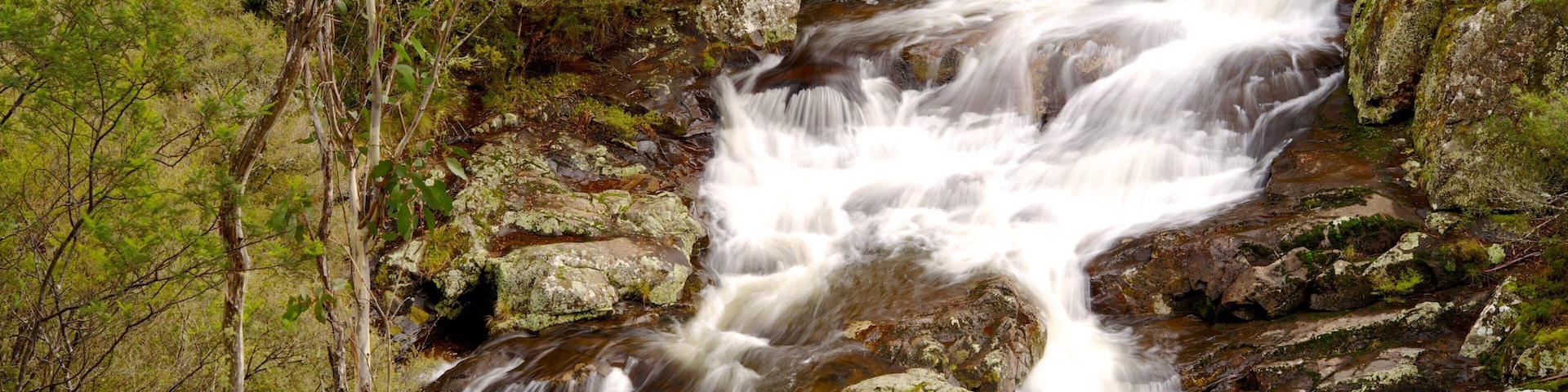 Barrington Tops National Park mostrando florestas, um rio ou córrego e córrego