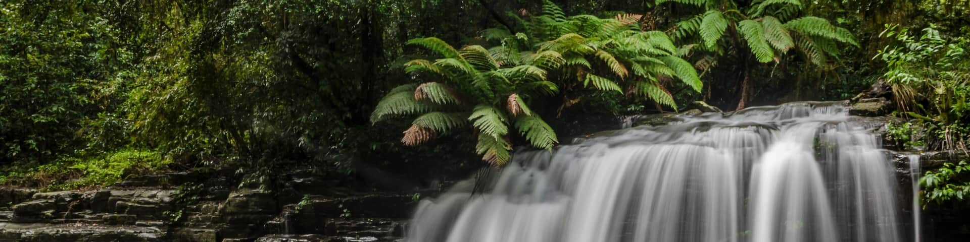 Parc national de Barrington Tops montrant chute d\'eau, forĂȘt vierge et mare