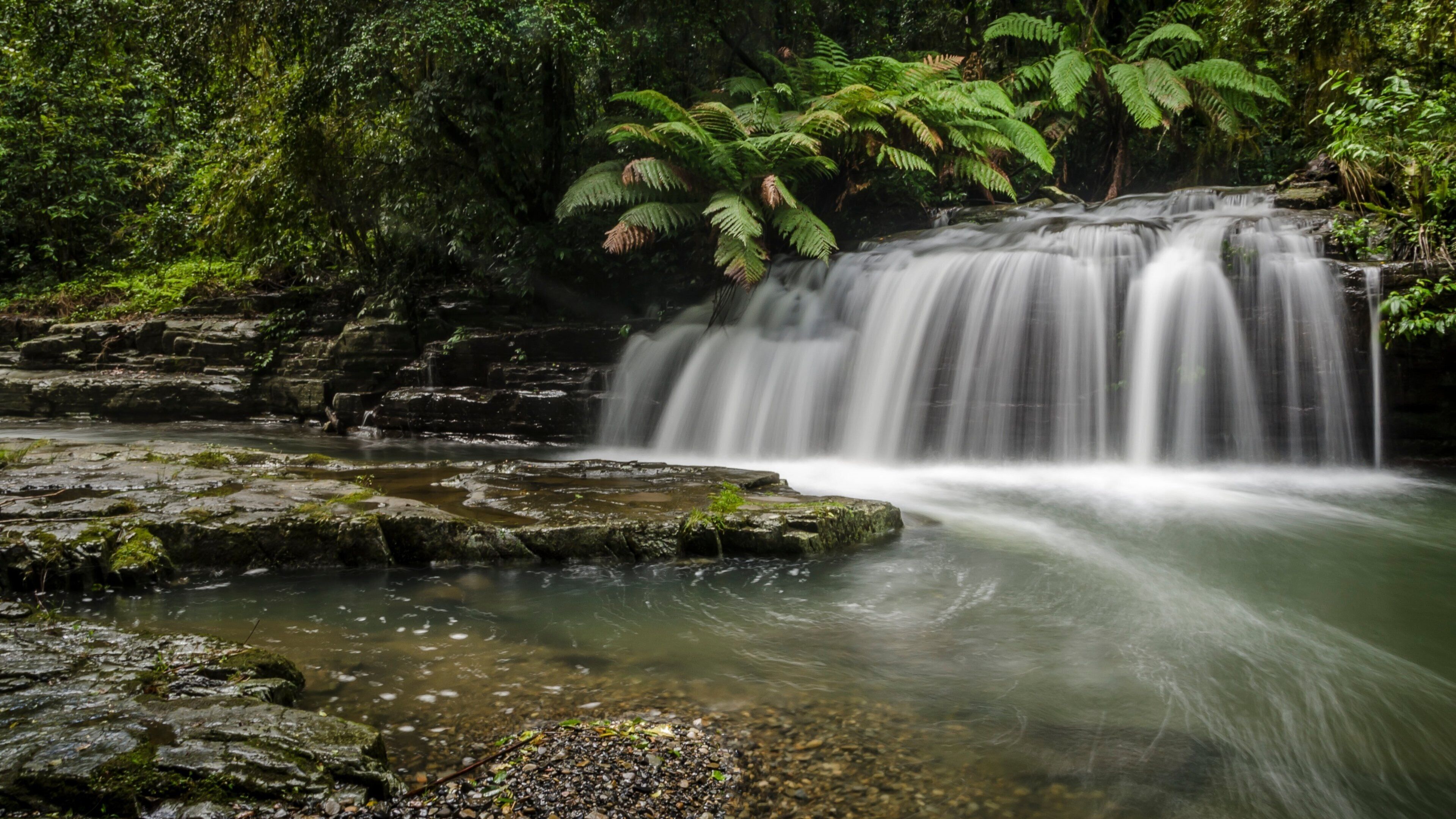 A waterfall cascading over rocks in a forested area.