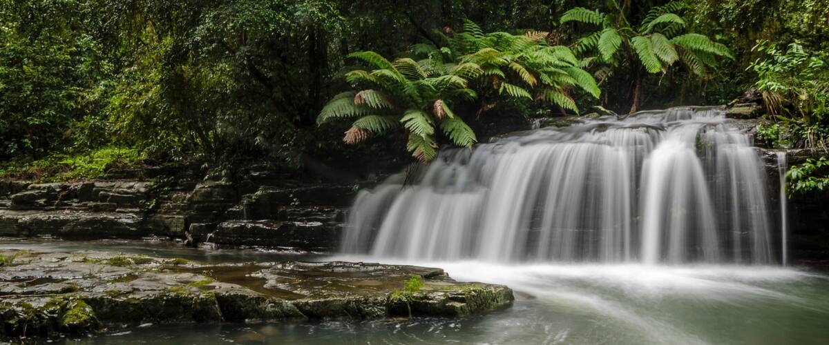 A waterfall cascading over rocks in a forested area.