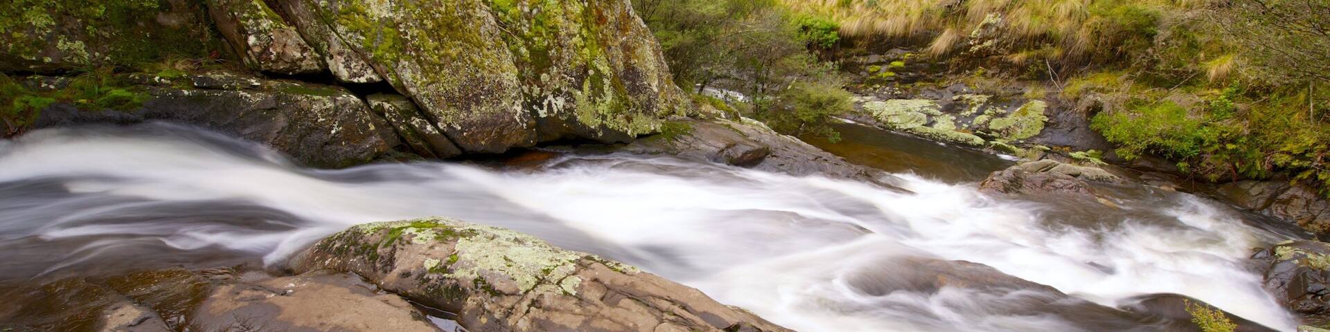 バリントン トップス国立公園 表示 静かな風景, 河あるいは小川 と 森林の風景