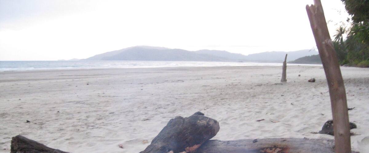 Drift wood.